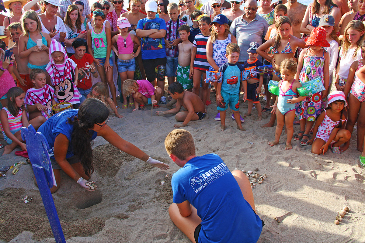 Caretta Caretta hatching season in Rethymno